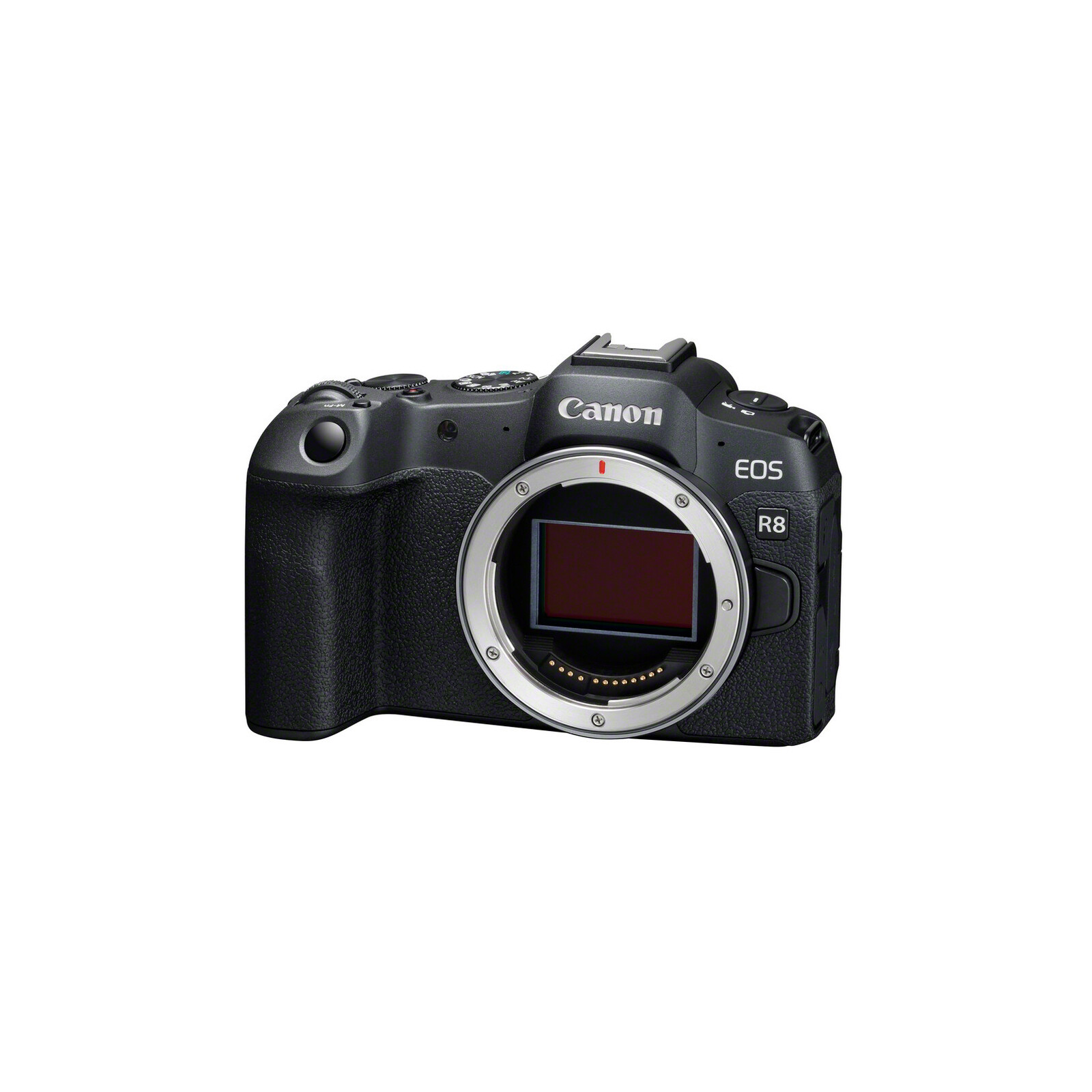 Canon EOS R8 + RF 24-105/4-7,1 IS STM