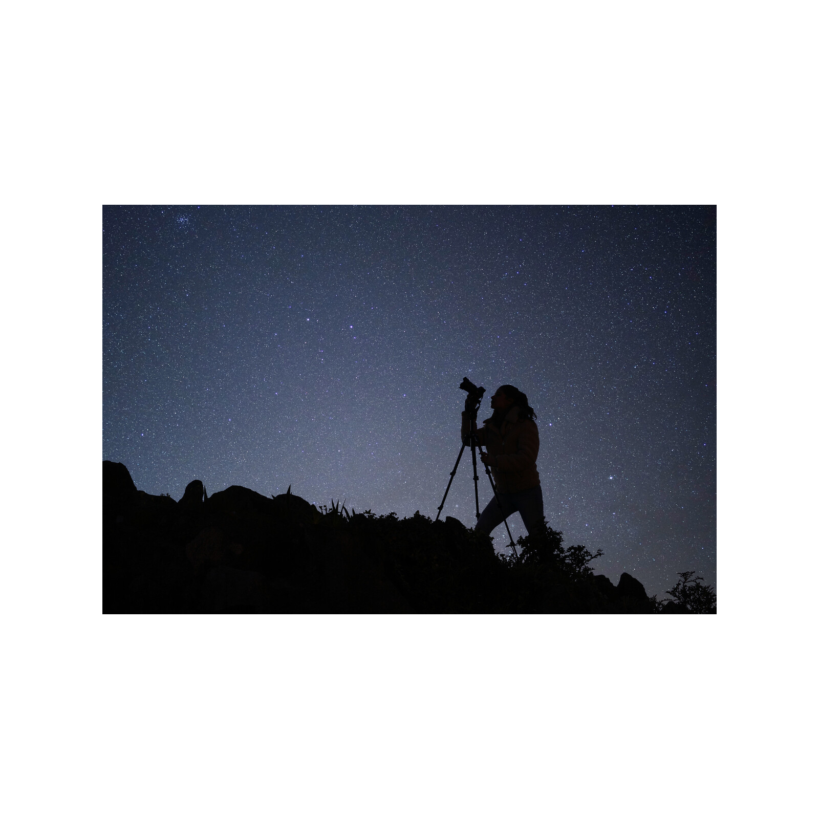 Sony SEL 24/1,4 GM