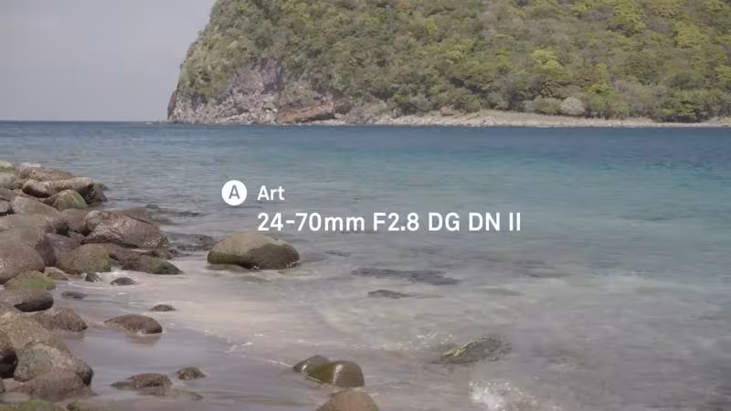 Sigma 24-70/2,8 DG DN II L-Mount