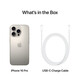 Apple iPhone 16 Pro 1TB Titan natur