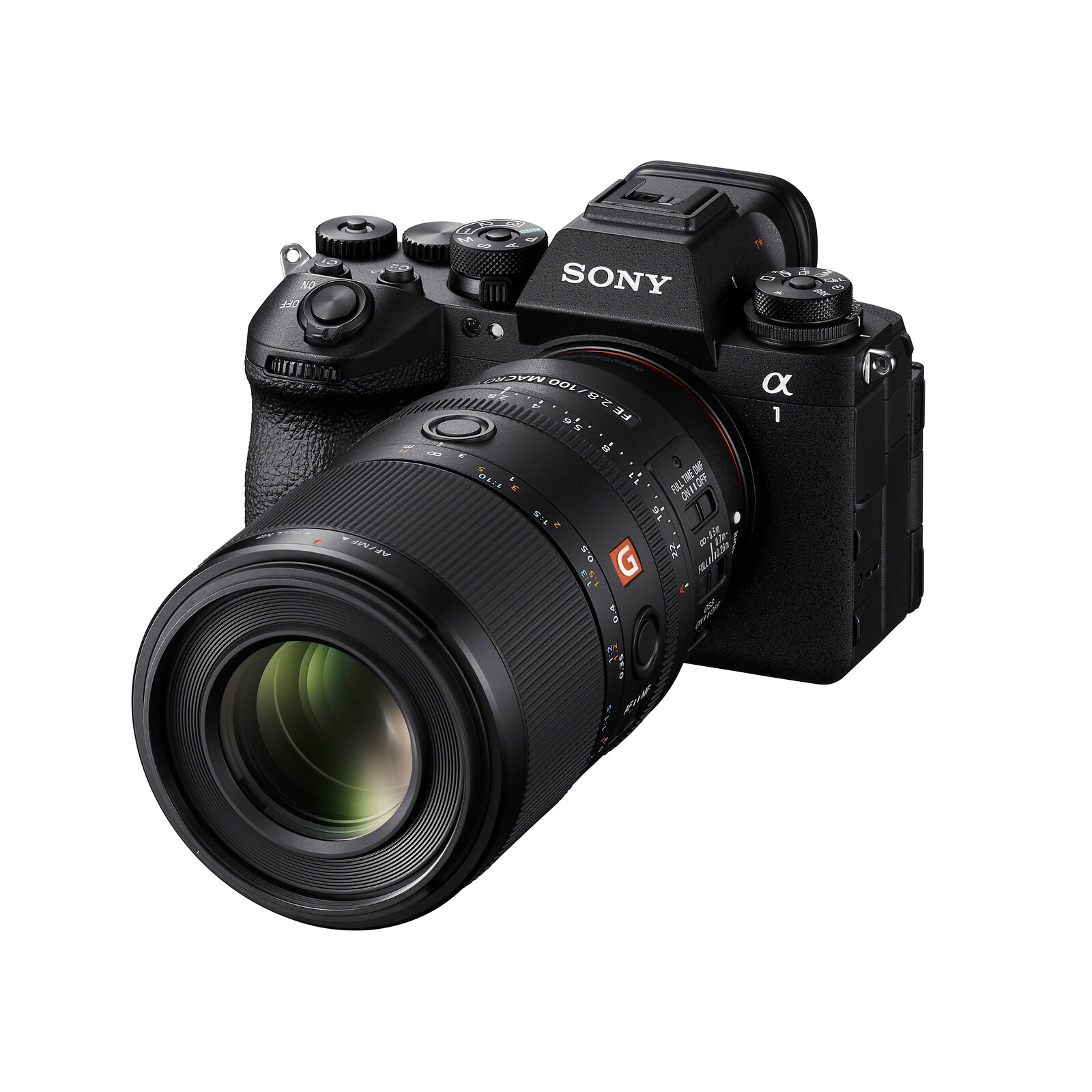 Sony FE 100/2,8 Macro GM