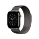 Apple Watch 42mm Slate Milanaise Loop
