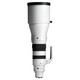 Sigma 300-600/4.0 DG OS Sony E-Mount