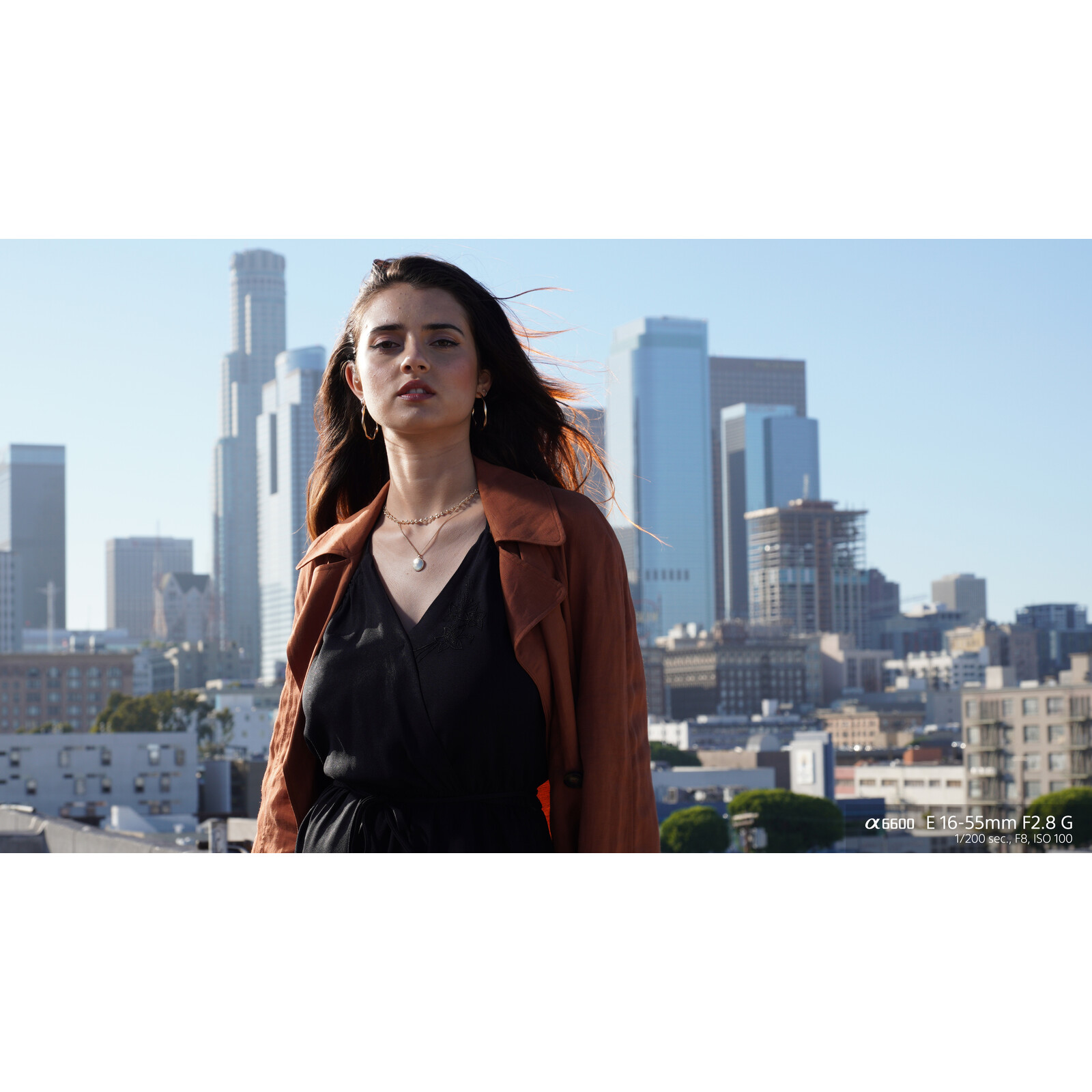 Sony SEL 16-55/2,8 G