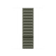 Apple Watch 46mm Sage Magnetic Link S/M