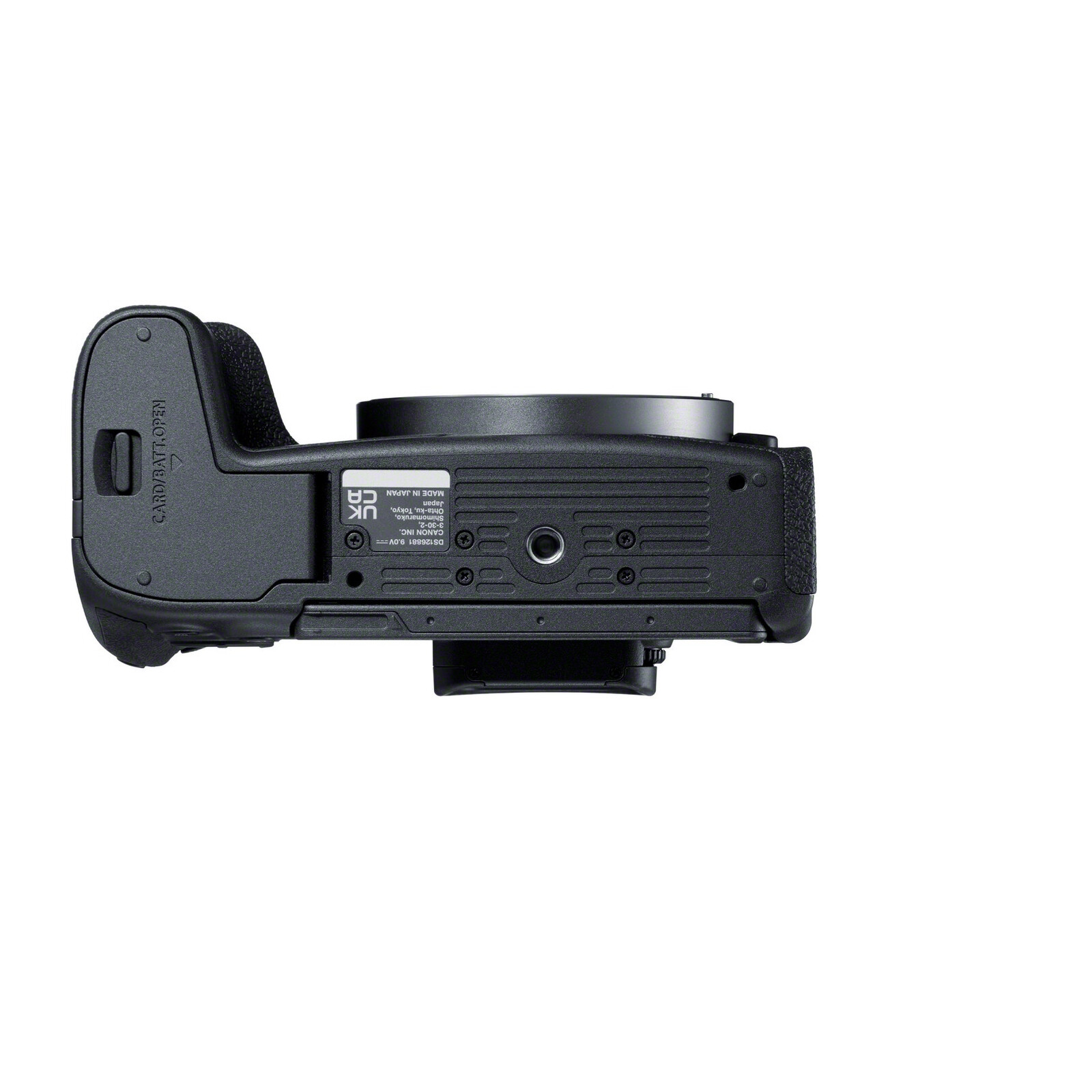 Canon EOS R8 + RF 24-105/4-7,1 IS STM