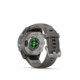 Garmin Fenix 9 43mm Kieselgrau/Titan