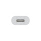 Apple USB-C zu Lightning Adapter
