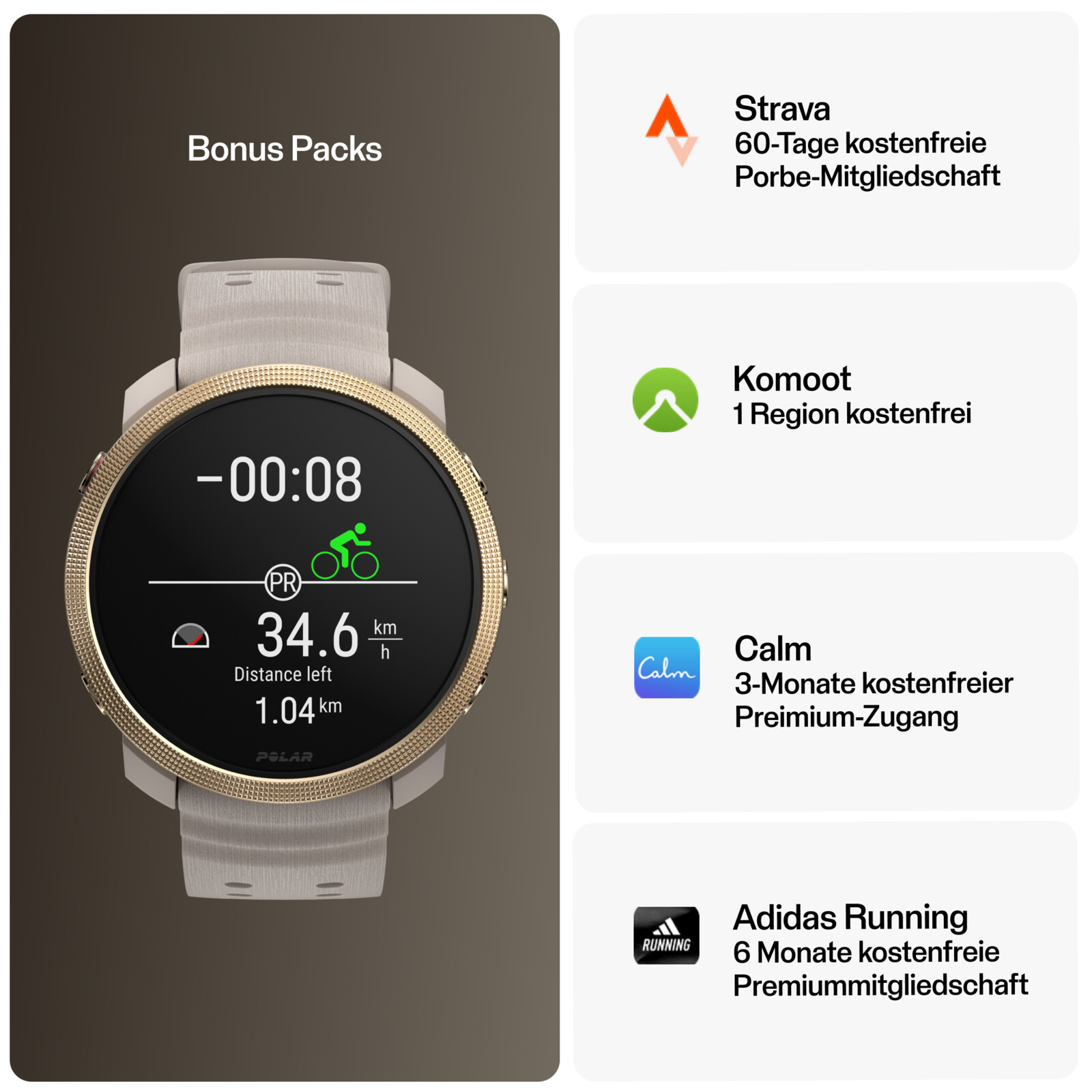 Polar Vantage M3 S-L grau/gold