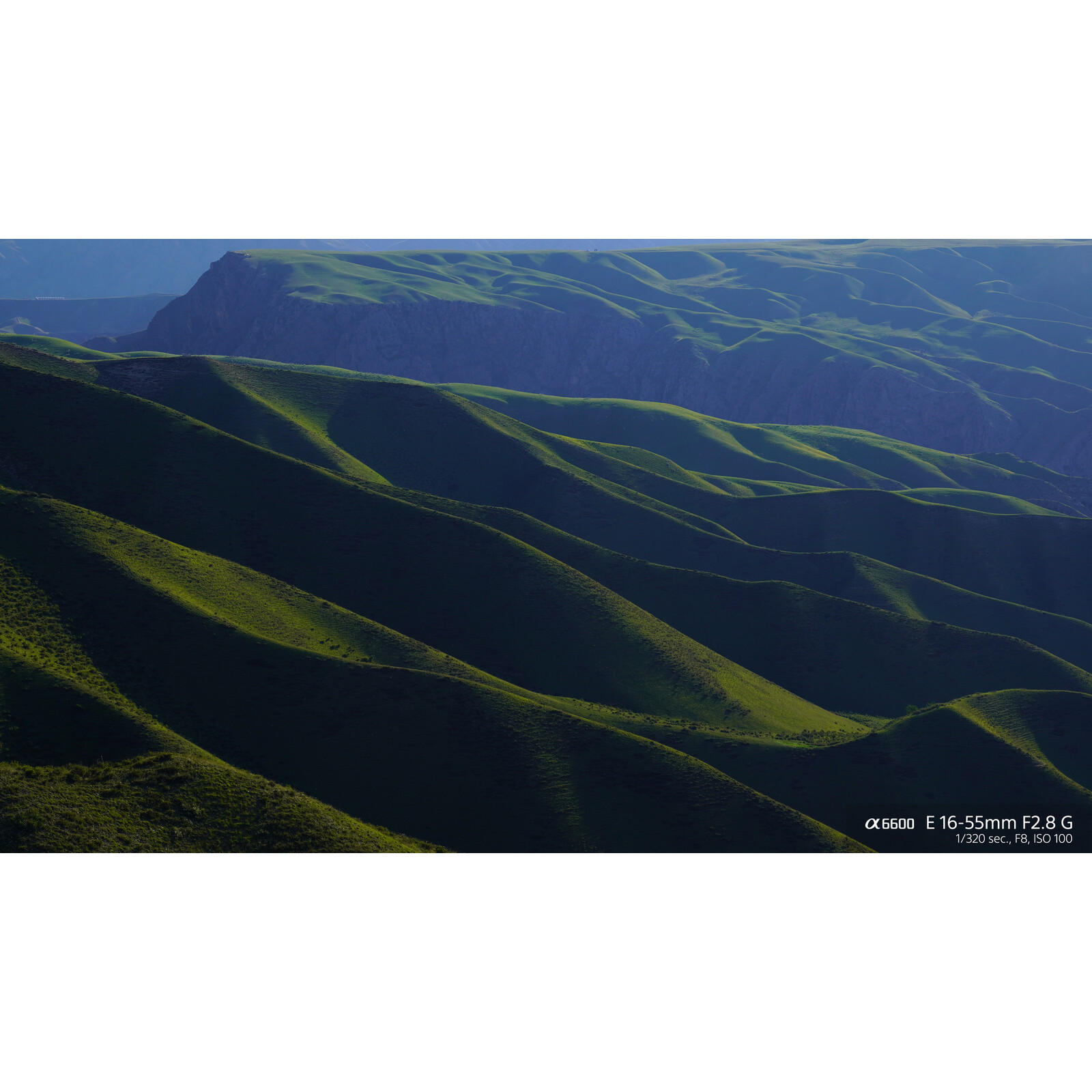 Sony SEL 16-55/2,8 G