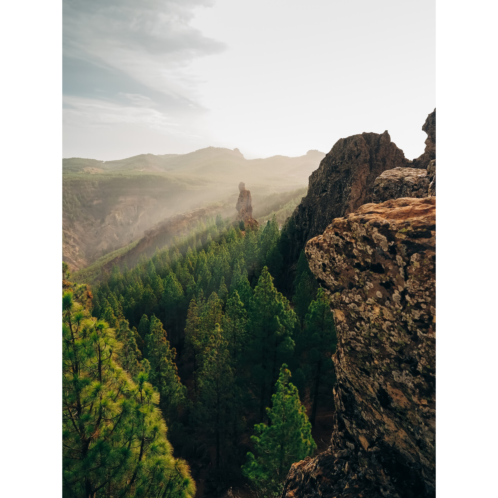 OM SYSTEM OM-5 II + 14-150mm/4-5.6 II schwarz