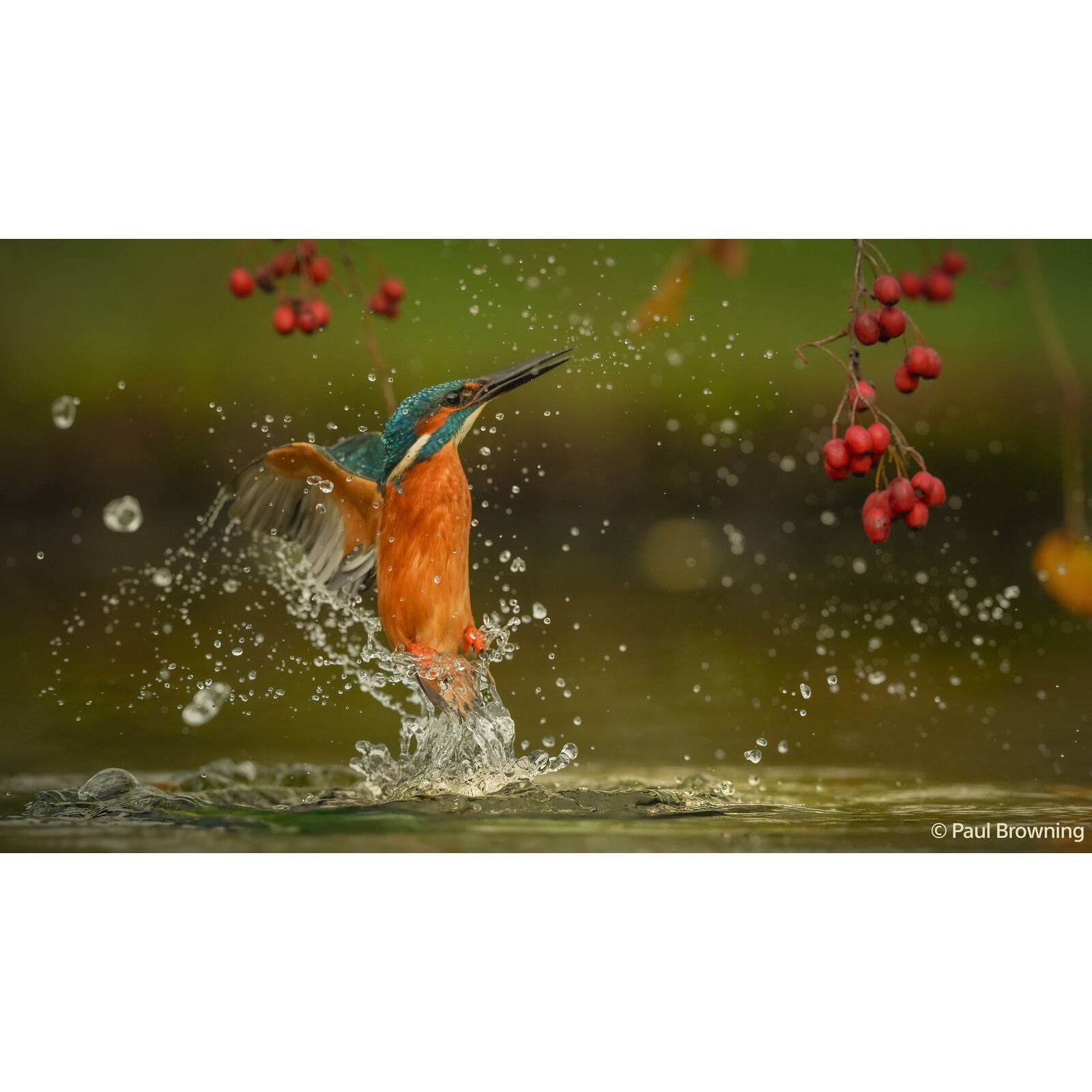 Sony Alpha 7 V Geh&auml;use