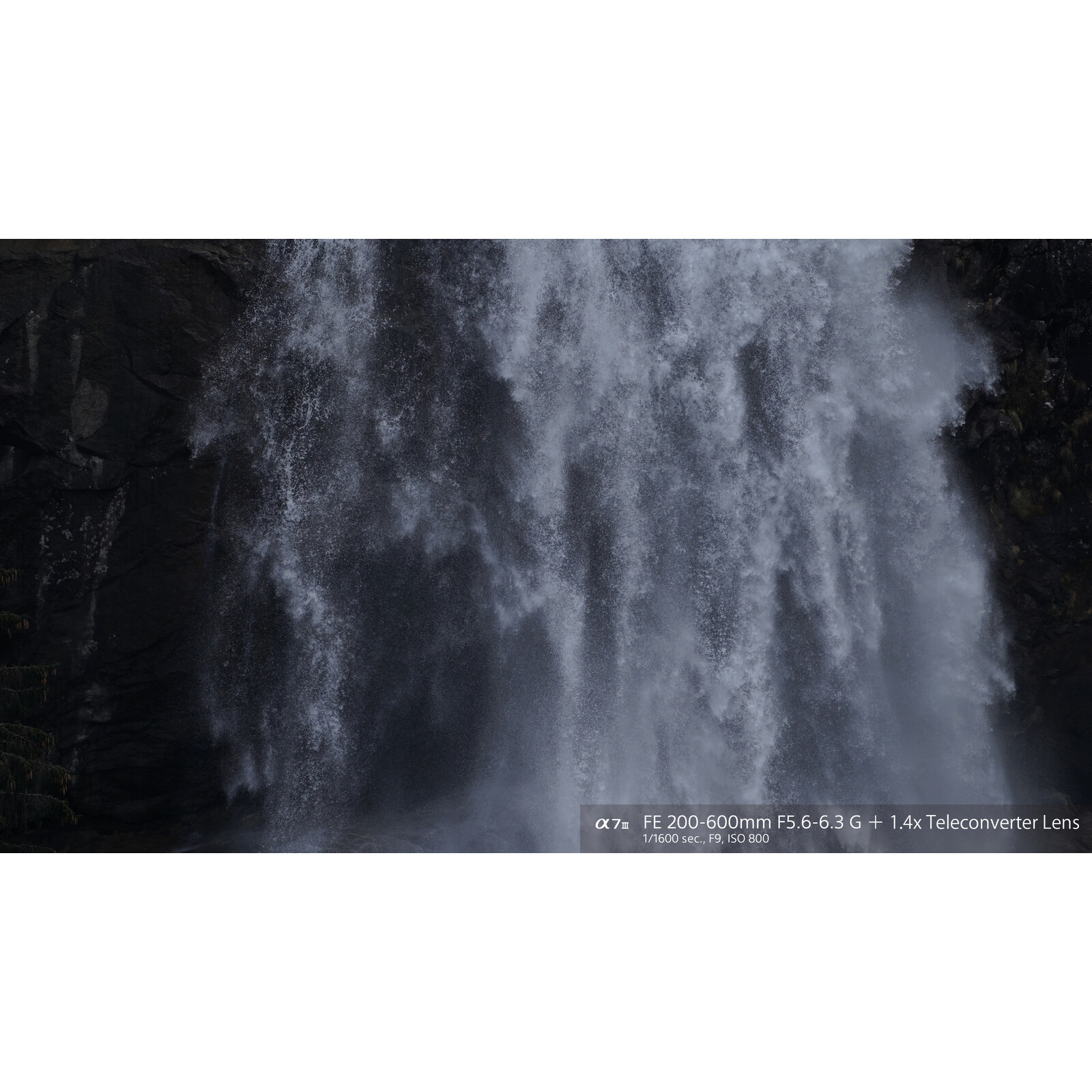 Sony FE 200-600/5,6-6,3 G OSS