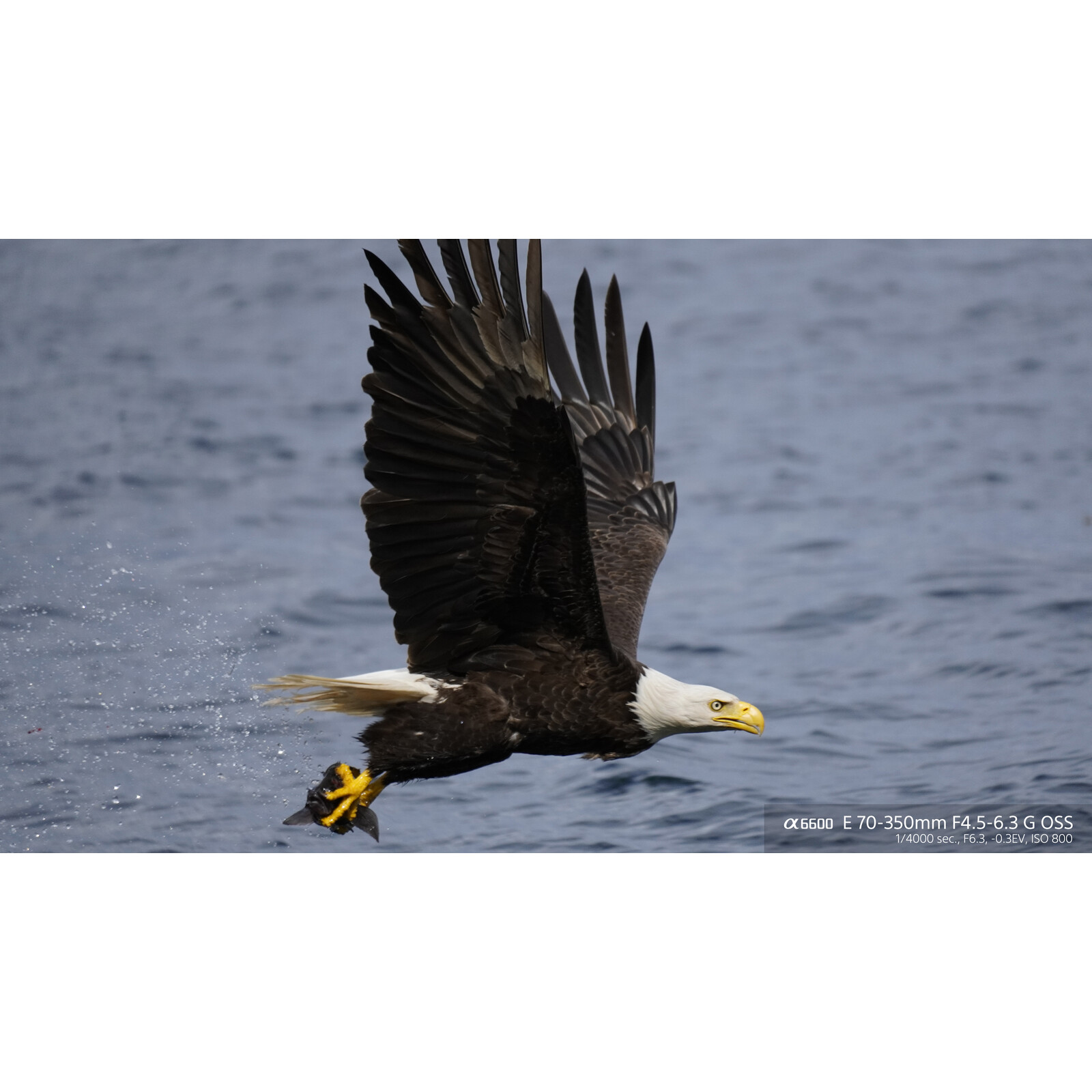 Sony SEL 70-350/4,5-6,3 G OSS