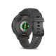 Garmin Venu 3S black sesame/slate
