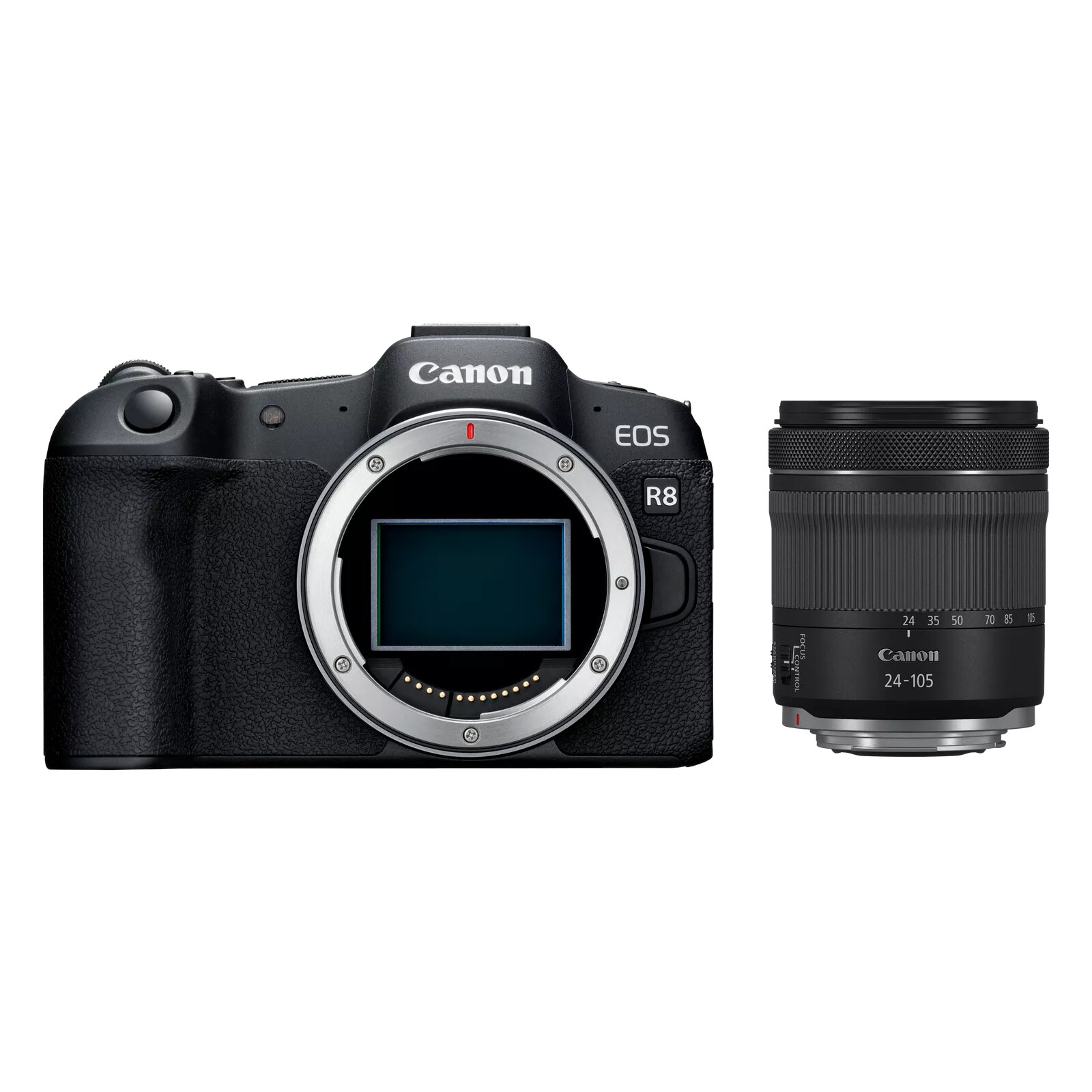 Canon EOS R8 + RF 24-105/4-7,1 IS STM
