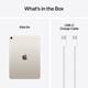 Apple iPad Air 11" WiFi 256GB polarstern