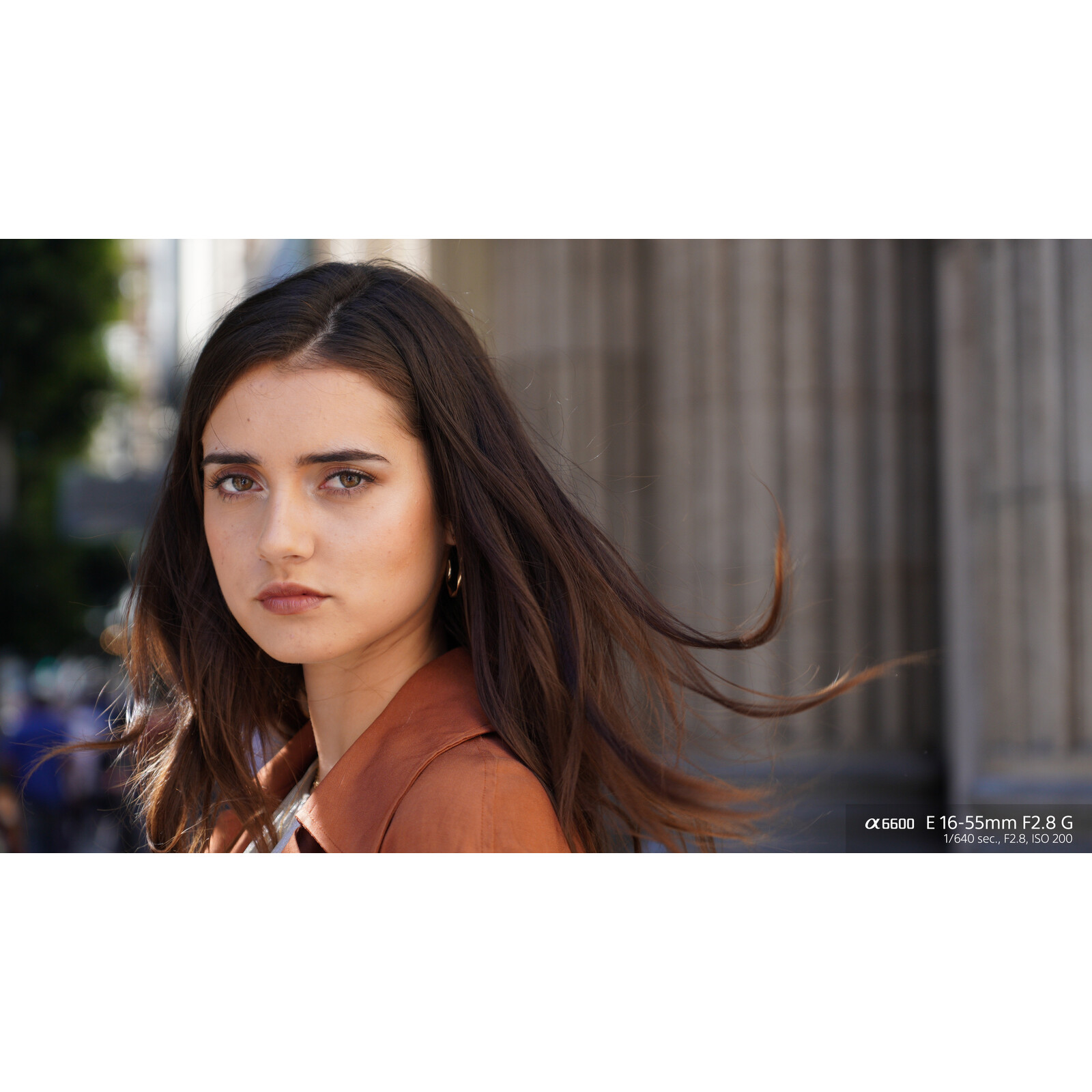 Sony SEL 16-55/2,8 G