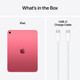 Apple iPad 11" (A16) WiFi + 5G 128GB pink