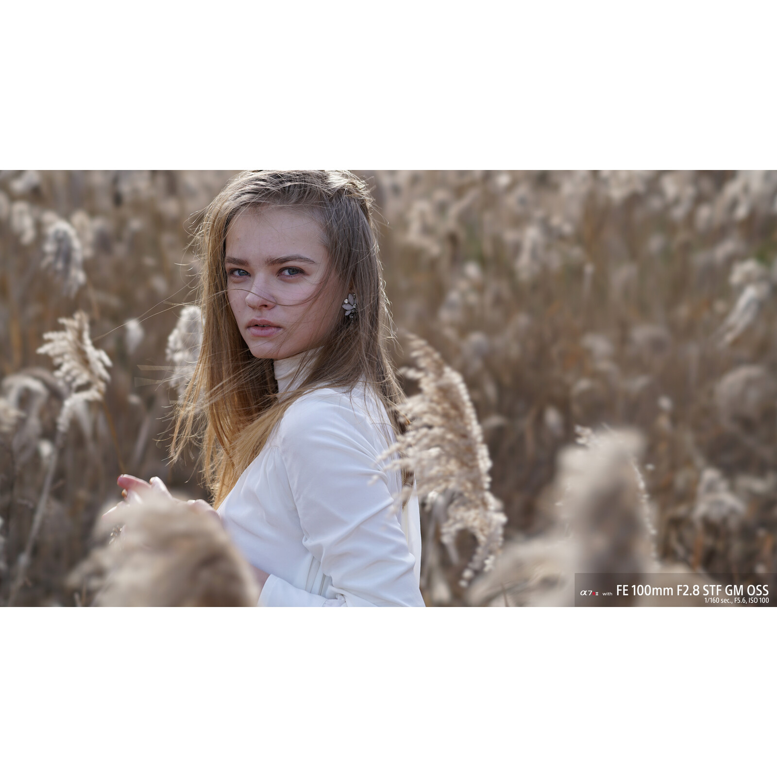 Sony SEL 100/2,8 GM
