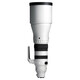 Sigma 300-600/4.0 DG OS Sony E-Mount