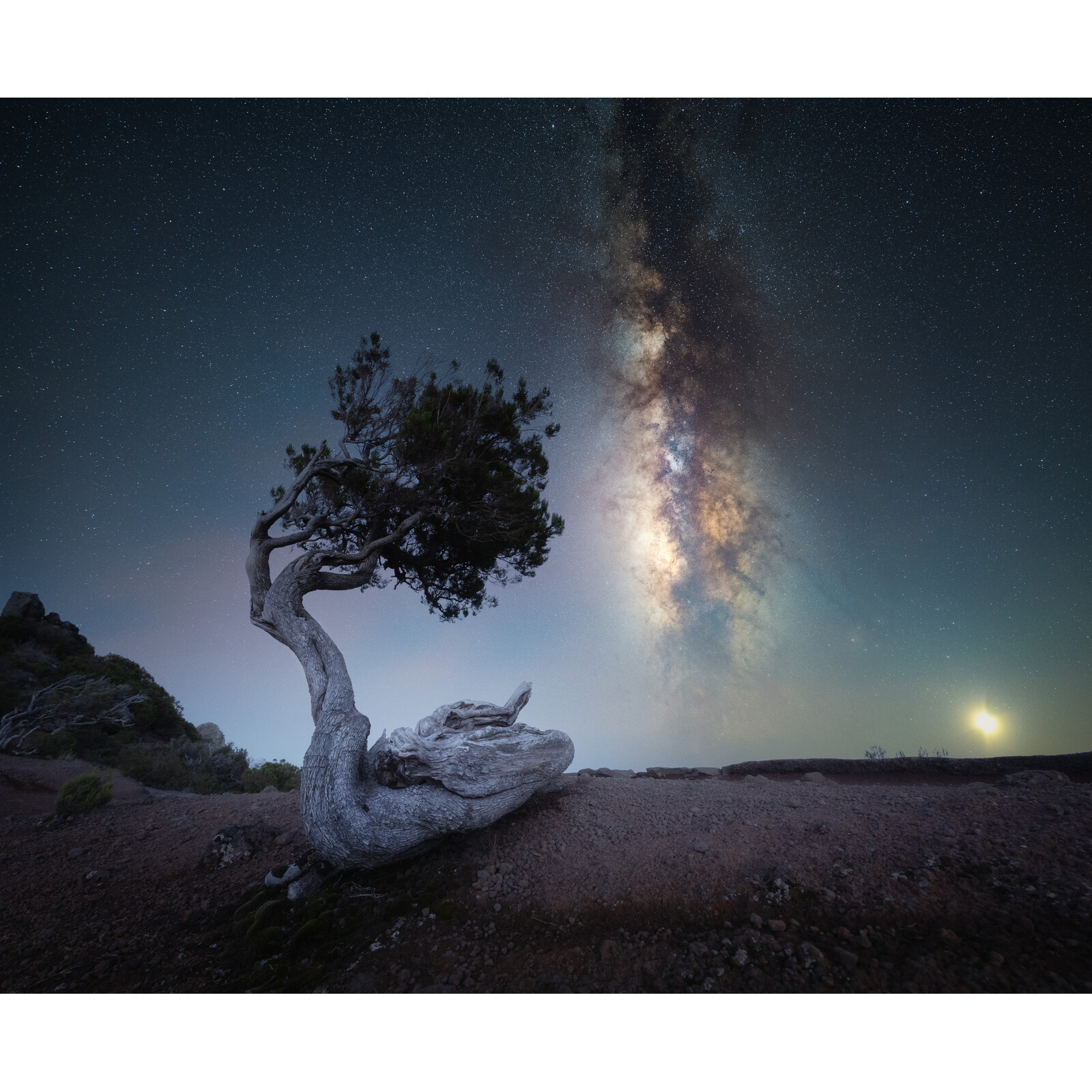 Canon RF 14/1,4L VCM