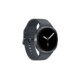 Samsung Galaxy Watch8 40mm LTE Graphite