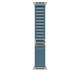Apple Watch 49mm Light Blue Alpine Loop S natural Titan