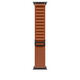 Apple Watch 49mm Terracotta Alpine Loop S Black Titan
