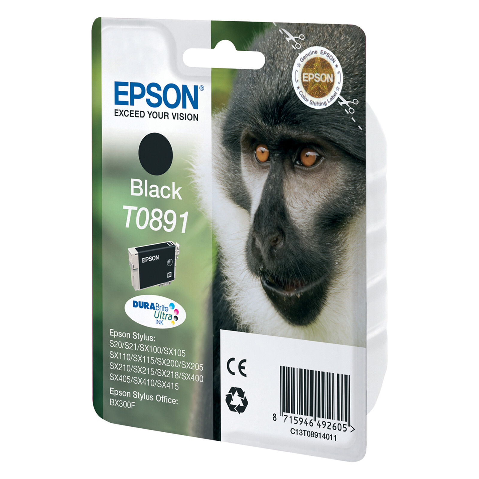 Epson T0891 Tinte Black 5,8ml