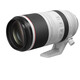 Canon RF 100-500/4,5-7,1L IS USM