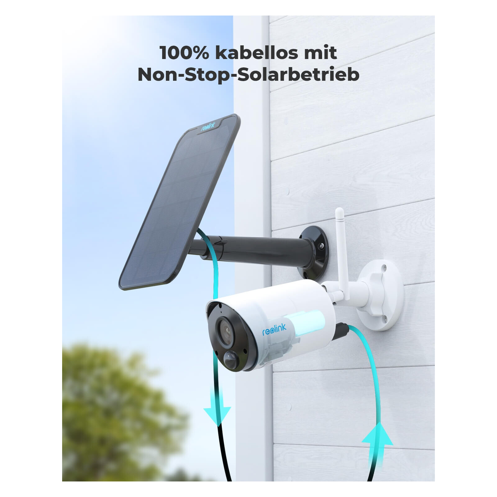 Reolink Argus Series B320 weiß 