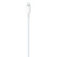 Apple USB-C to Lightning Kabel 1m