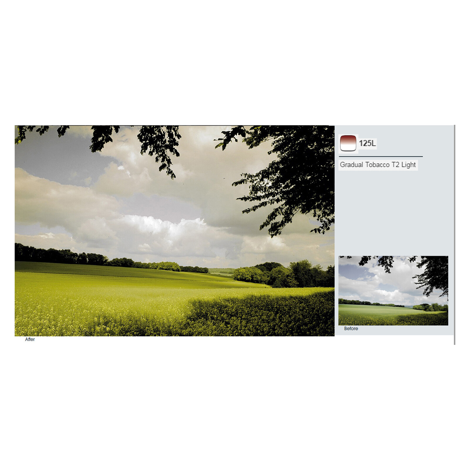 Cokin P125L Verlauf Tabak 2L