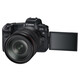 Canon PARS AIP1 EOS R + RF 24-105/4,0-7,1 IS STM