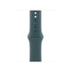 Apple Watch 42mm Sportband S/M seegrün