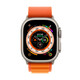 Apple Watch Ultra Cellular Titan 49mm Alpinband L orange