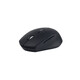 Axxtra Maus 2.4G und Bluetooth schwarz