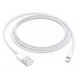 Apple Lightning to USB Cable 1 Meter