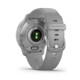 Garmin Venu 2 Plus grau