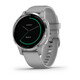 Garmin Vivoactive 4S 40mm Grau/Silber