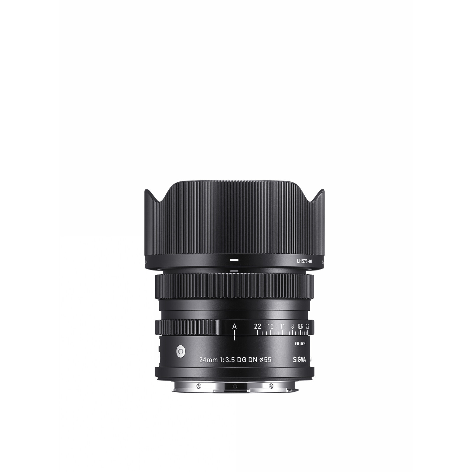 Sigma 24/3,5 DG DN Sony F-E