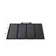 EcoFlow Solarpanel 220 Watt Bifaziales