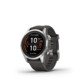 Garmin Fenix 7s Pro Solar slate silver 