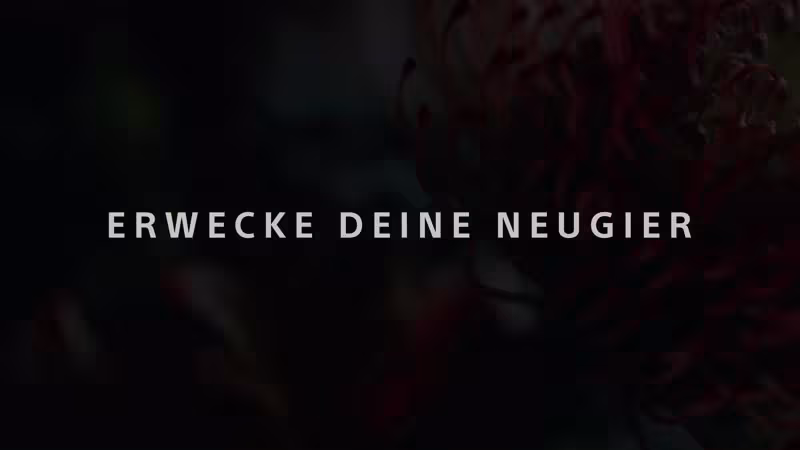 Sony FE 100/2,8 Macro GM