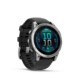 Garmin Fenix E 47mm schwarz/silber