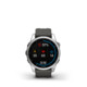 Garmin Fenix 7S silver/graphite