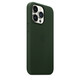 Apple iPhone 13 Pro Leder Case mit MagSafe schwarzgrün