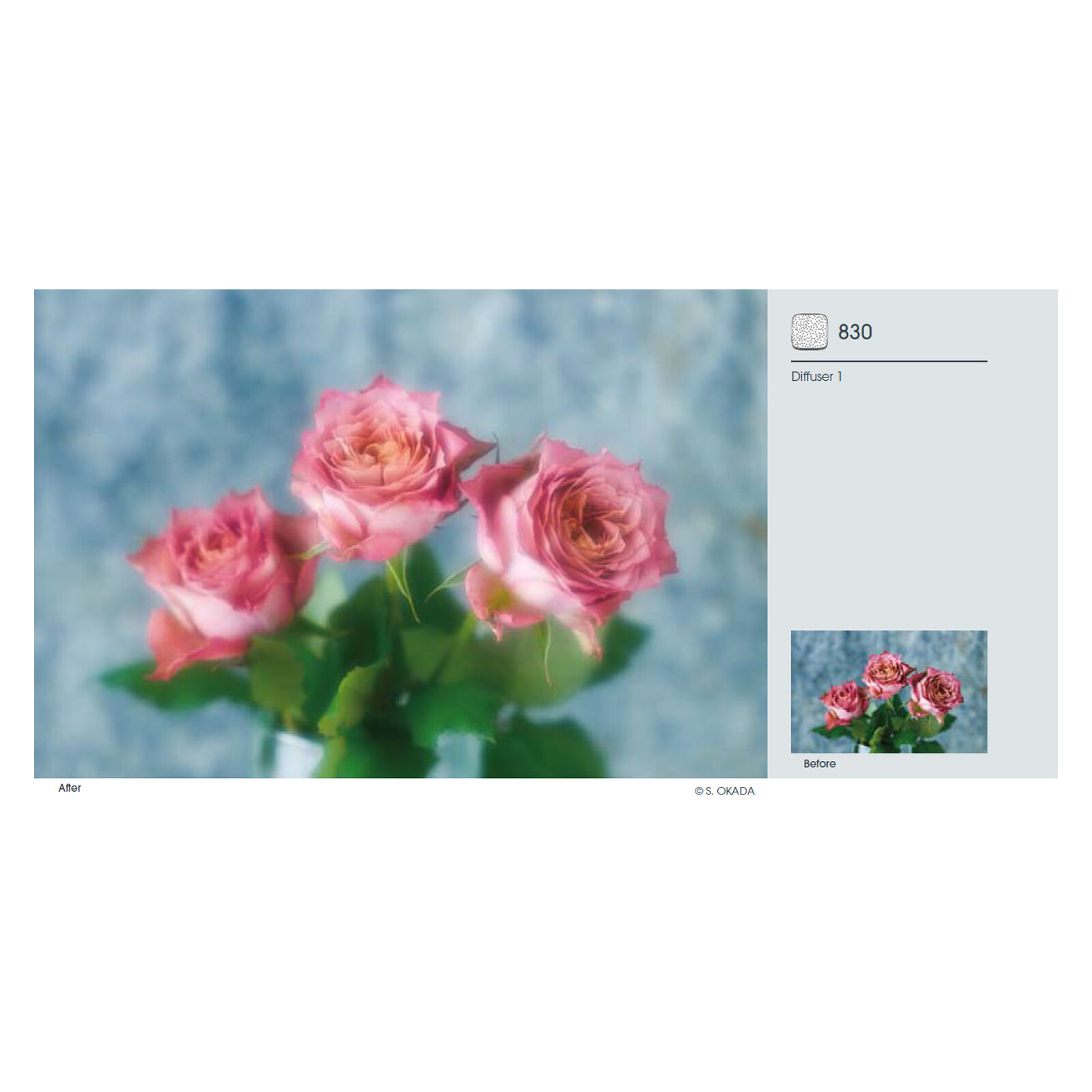 Cokin Z830 Diffuser 1