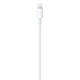 Apple USB-C to Lightning Kabel 2 Meter